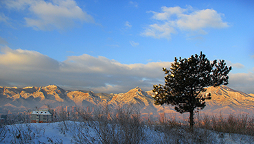 林業(yè)防火就選金萬碼GPS巡檢系統(tǒng)