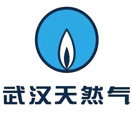 1685018559811755.png 1685018559811755.png